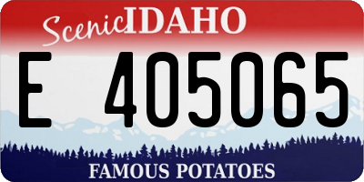 ID license plate E405065