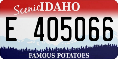 ID license plate E405066