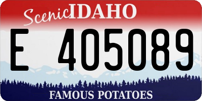 ID license plate E405089