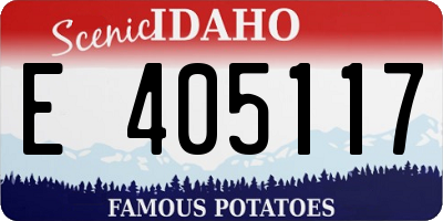 ID license plate E405117