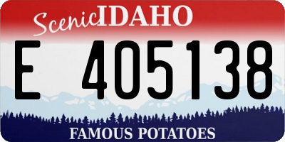 ID license plate E405138