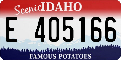 ID license plate E405166