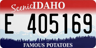 ID license plate E405169
