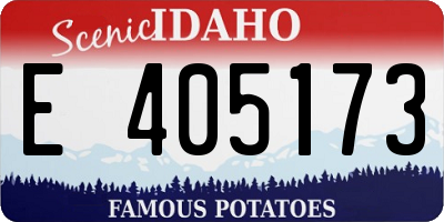 ID license plate E405173