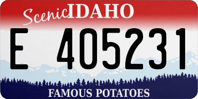 ID license plate E405231
