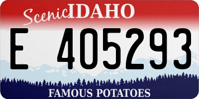 ID license plate E405293