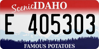 ID license plate E405303