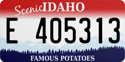 ID license plate E405313