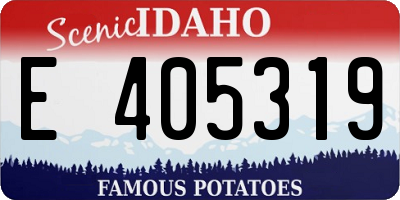 ID license plate E405319
