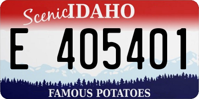 ID license plate E405401