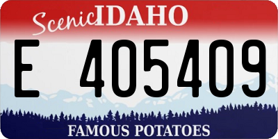 ID license plate E405409