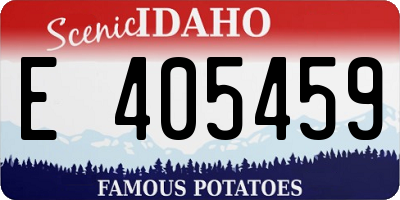 ID license plate E405459
