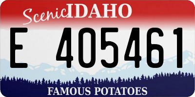 ID license plate E405461