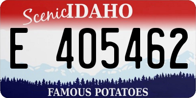 ID license plate E405462