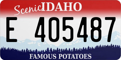 ID license plate E405487