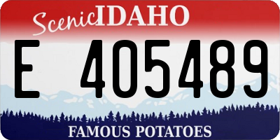 ID license plate E405489