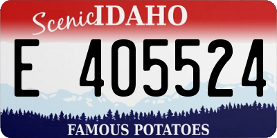 ID license plate E405524