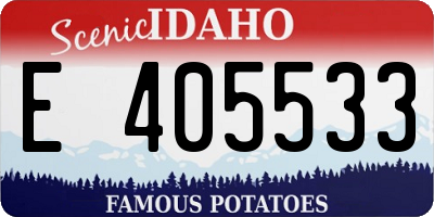 ID license plate E405533