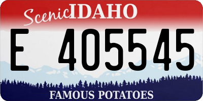 ID license plate E405545