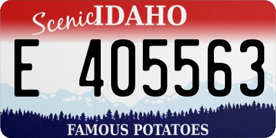 ID license plate E405563
