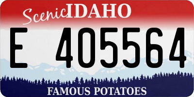 ID license plate E405564