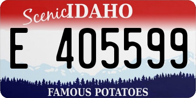 ID license plate E405599