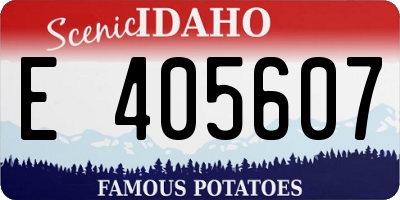 ID license plate E405607