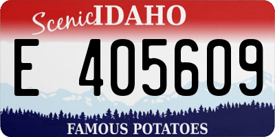 ID license plate E405609