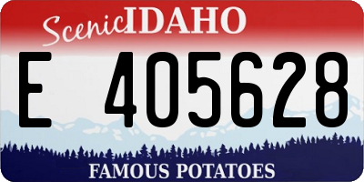 ID license plate E405628