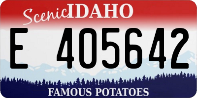 ID license plate E405642
