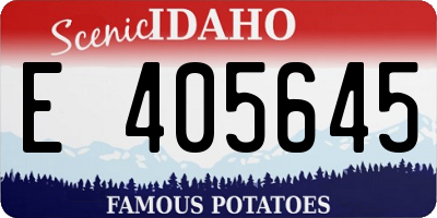 ID license plate E405645