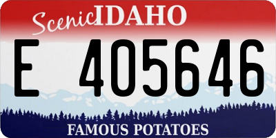 ID license plate E405646