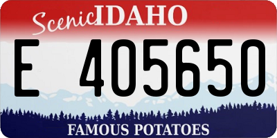 ID license plate E405650