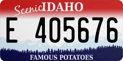 ID license plate E405676