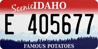 ID license plate E405677