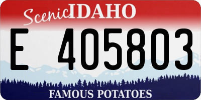 ID license plate E405803