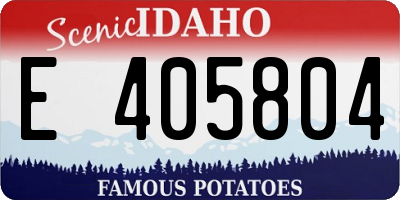 ID license plate E405804