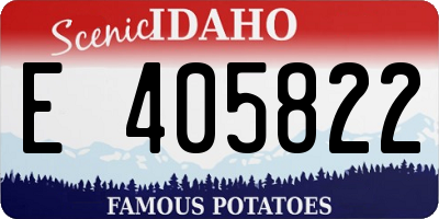 ID license plate E405822