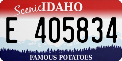 ID license plate E405834