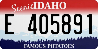 ID license plate E405891