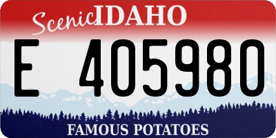 ID license plate E405980