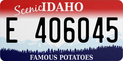 ID license plate E406045