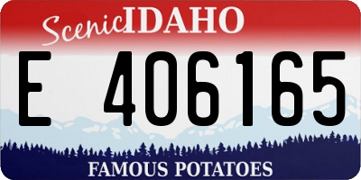 ID license plate E406165