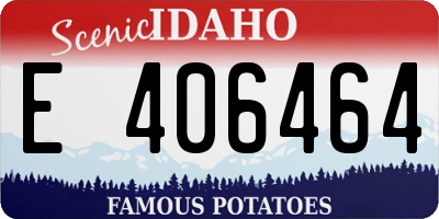 ID license plate E406464