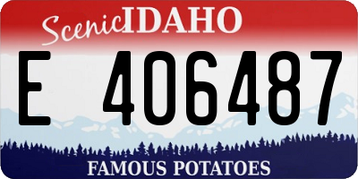 ID license plate E406487