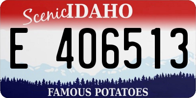ID license plate E406513