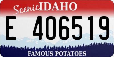 ID license plate E406519