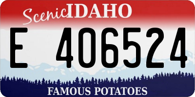 ID license plate E406524