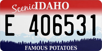 ID license plate E406531