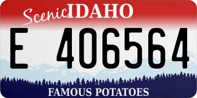 ID license plate E406564